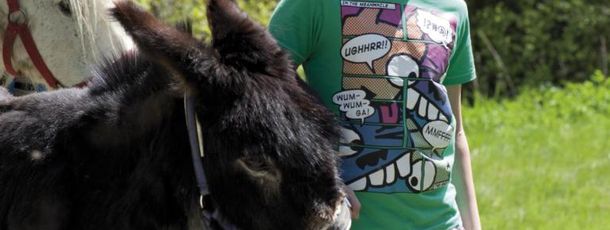 Detaillierte Infos zur Unterkunft Mühl-Fun-Viertel Grenzlandcamp Klaffer