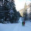 Information about the ski resort Wildalpen