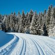 Detaillierte Infos zum Langlauf und den Loipen im Langlaufgebiet Loipenzentrum Bernau