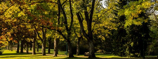 Kurpark Bad Gleichenberg