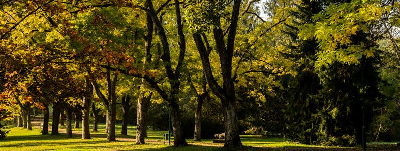 Kurpark Bad Gleichenberg
