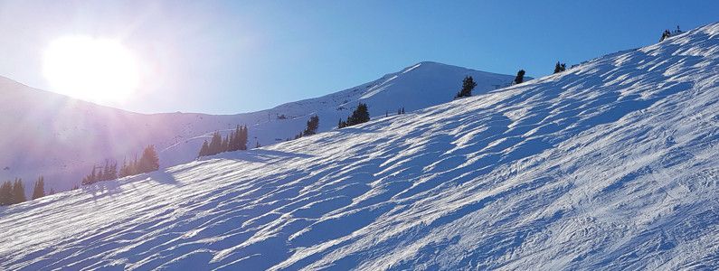 Skifahrer schätzen die Pistenvielfalt in Marmot Basin