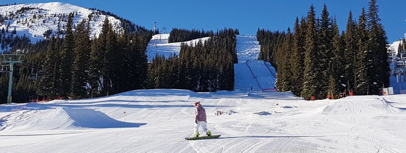 Terrain park near the base station.