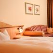 General information about your stay at Hotel Waldhof
