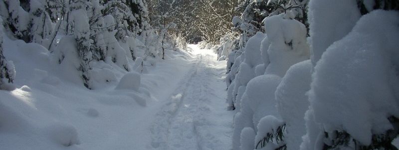 General information about your stay at Ferienwohnung Christina