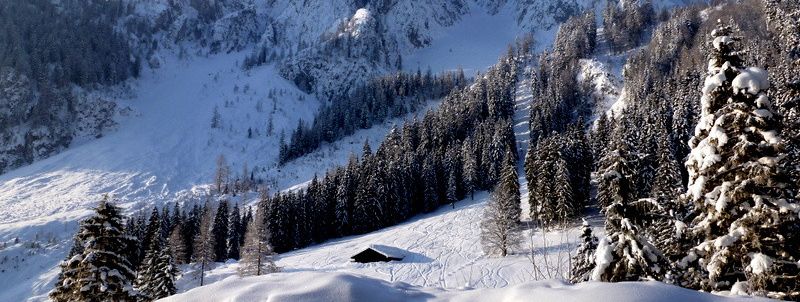 General information about your stay at Gasthof Gosausee