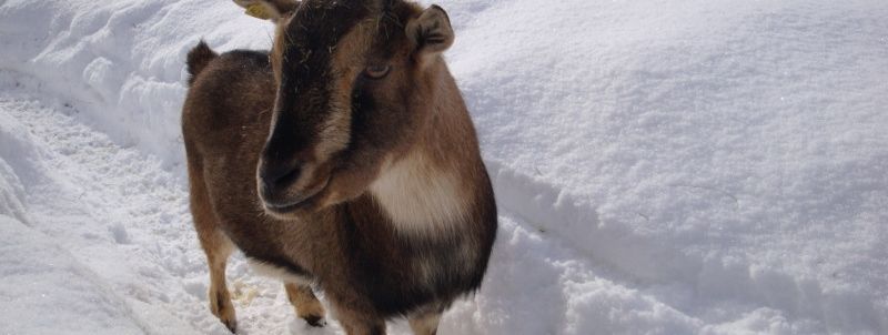 General information about your stay at Romantikgut Millinghof