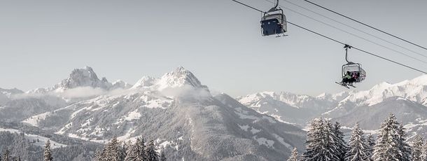 Panorama von der Bergstation Horneggli