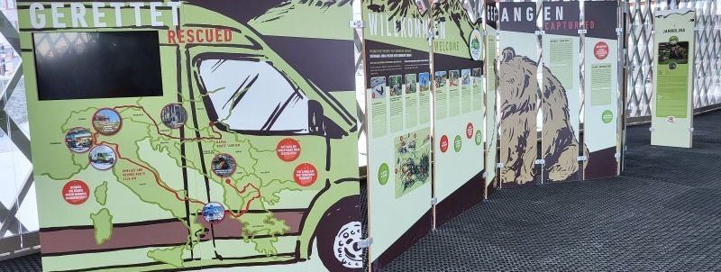 At Arosa Bear Sanctuary, rescued bears find a new home. Visitors can enjoy a viewing platform, bear-themed mini-golf, and a playground.