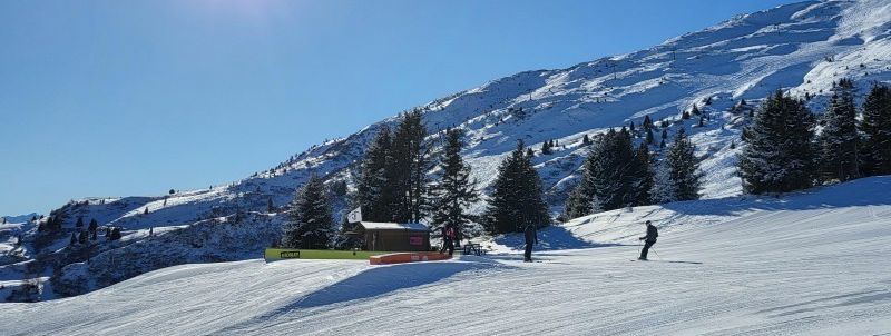 Freestylers can let loose in four different fun parks.