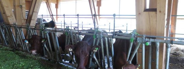 General information about your stay at Mussbachhof