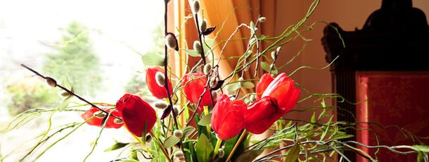 Detaillierte Infos zur Unterkunft Hotel / Pension / Bauernhof - Kneringerhof