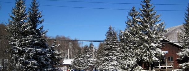 Information about the ski resort Pico Mountain