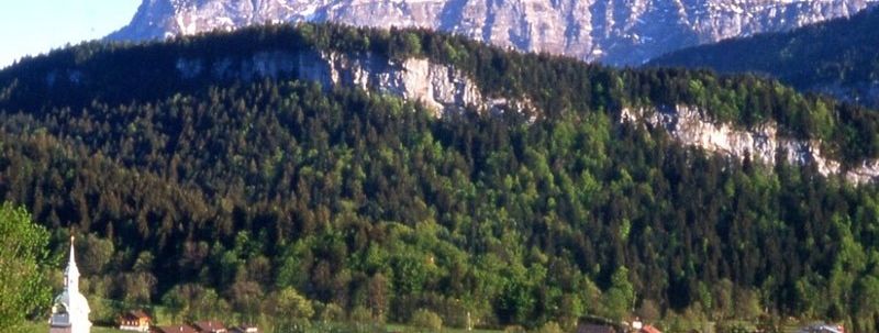 General information about your stay at Hirschen Bezau