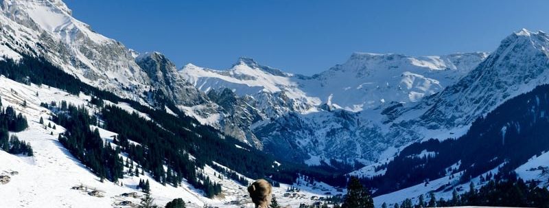 Detaillierte Infos zur Unterkunft The Cambrian Adelboden