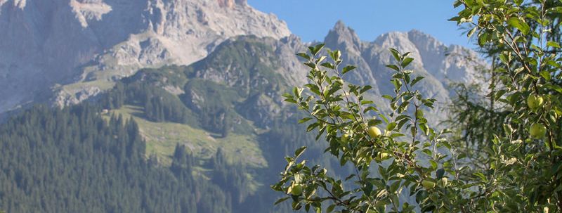 Detaillierte Infos zur Unterkunft Appartement "Haus Bergliebe"
