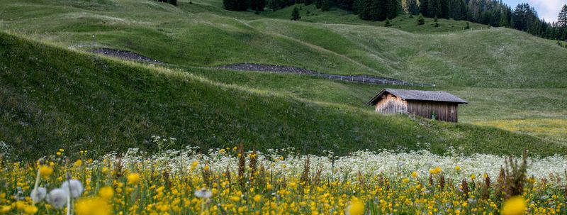 General information about your stay at Hotel- Pension Alt Hubertus