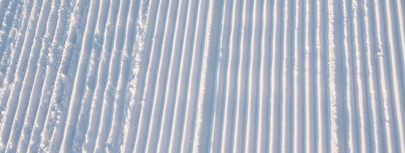 Perfekt präparierte Pisten in Marmot Basin