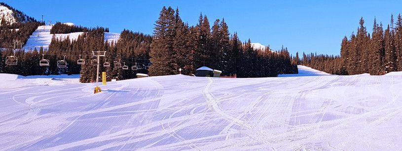 Grüne Pisten im Skigebiet Marmot Basin in Jasper in Kanada.