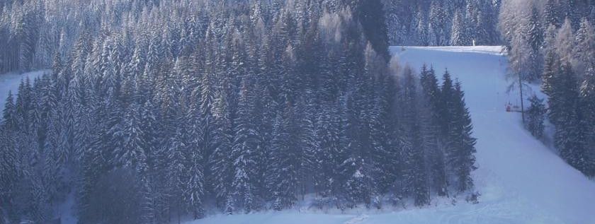 General information about your stay at Ferienwohnung Pletzenauer