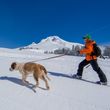 Bring your own snowshoes or rent them from Timberline to enjoy groomed snowshoeing trails around the lodge.