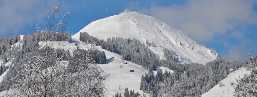 Detaillierte Infos zur Unterkunft Appartement Schipflinger
