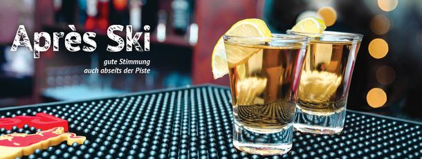 Information about the ski resort Alpincenter Hamburg-Wittenburg