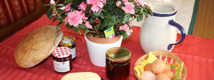 General information about your stay at Oberhaslinghof