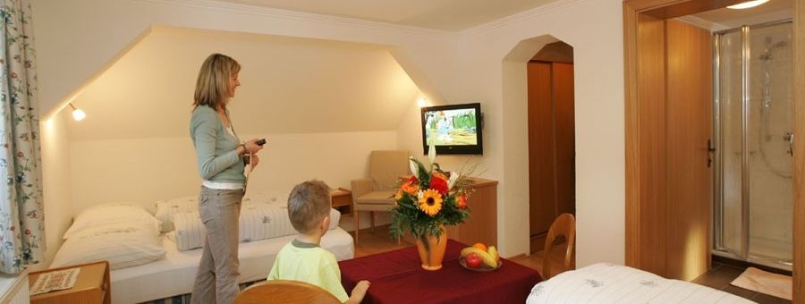 General information about your stay at Alpengasthof Enzingerboden