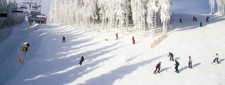 Über 27 Pistenkilometer warten in Winterberg darauf, entdeckt zu werden.