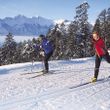 Information on Cross-Country Skiing at Cross Country Skiing Predigstuhl