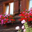 General information about your stay at Fewo Markus Kieber