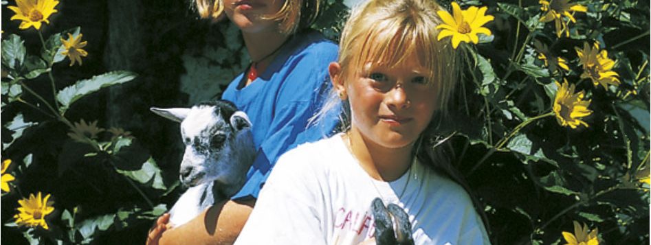 General information about your stay at Landhaus Liechtenstein