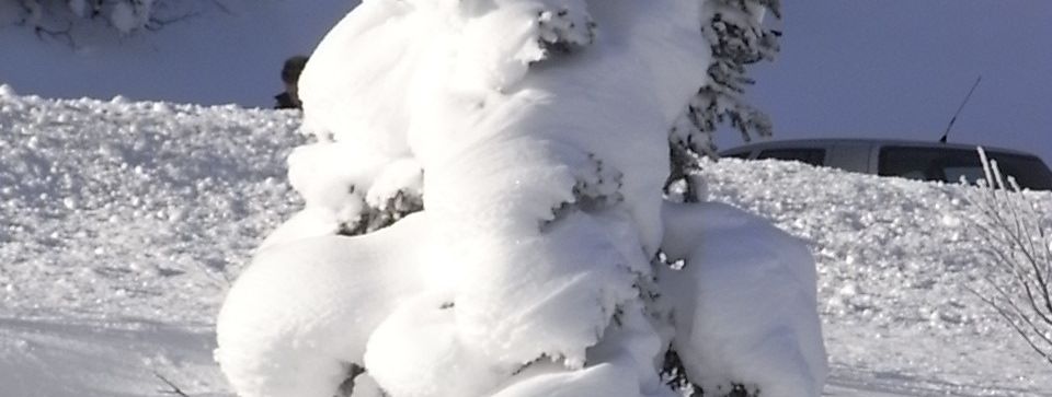 Detaillierte Infos zur Unterkunft Hotel Turracherhof