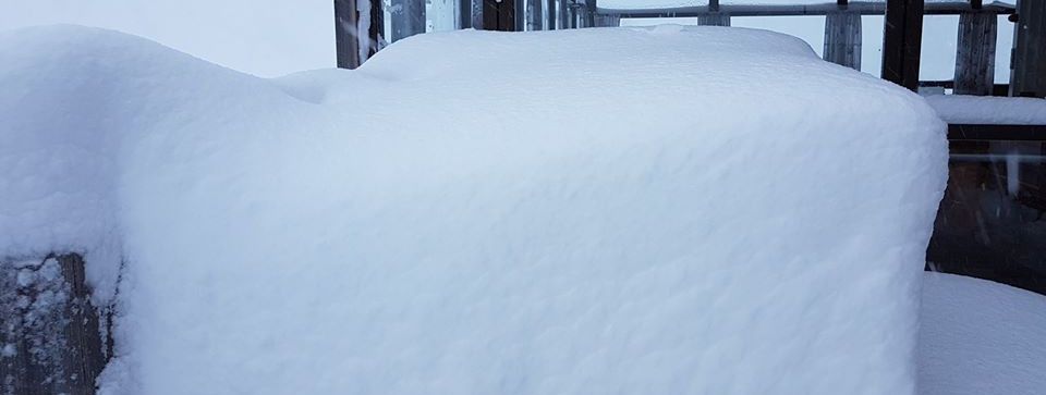 Das Ergebnis einer Schneenacht am Wilden Kaiser.