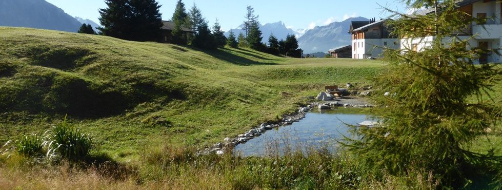 Detaillierte Infos zur Unterkunft Cresta Sartons/Brenn