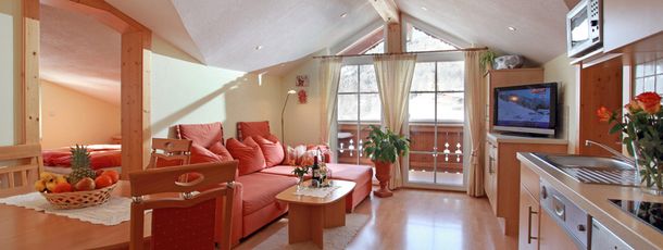 General information about your stay at Appartement Irmgard