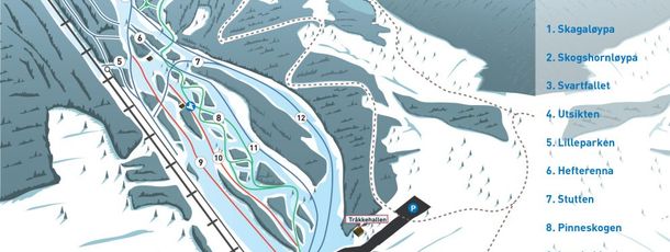 Information about the ski resort Golsfjellet