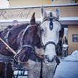 General information about your stay at Hotel Reinerhof