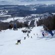 Information about the ski resort Mont Sainte Anne