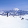 Information about the ski resort Niseko United (Hanazono - Grand Hirafu - Niseko Village - Annupuri)
