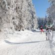 Information about the ski resort Oberhof am Rennsteig