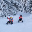 The six-kilometer-long toboggan run in See is one of the most beautiful in the region.