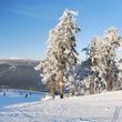 View of the northern slope, in the background the Brocken.