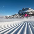 Information about the ski resort Carezza Dolomites