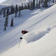 Information about the ski resort Fernie Alpine Resort