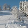 Information about the ski resort Glasenberg Maria Neustift