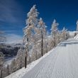 Information about the ski resort Grosseck Speiereck