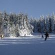 Information about the ski resort Hahnenklee Bocksberg