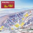 Information about the ski resort Holiday Valley Resort